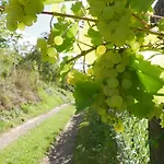 Margaretes Gaestehaus - Am Rheinsteig Rheinbrohl