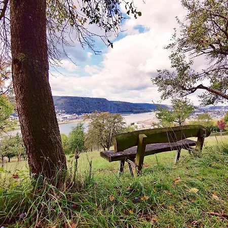 בית הארחה Margaretes Gaestehaus - Am Rheinsteig 3*