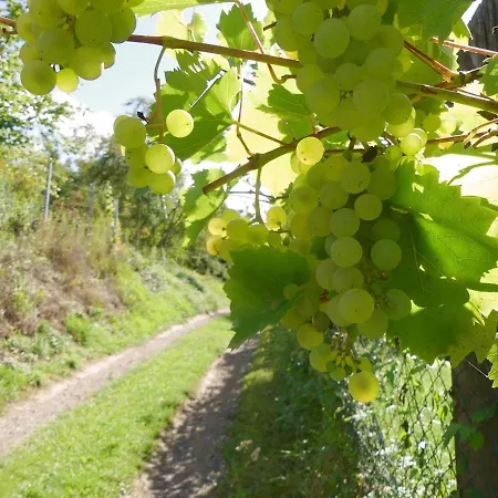 Margaretes Gaestehaus - Am Rheinsteig Rheinbrohl