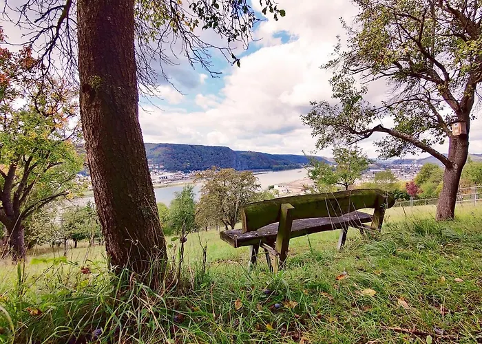 Casa de hóspedes Margaretes Gaestehaus - Am Rheinsteig 3*
