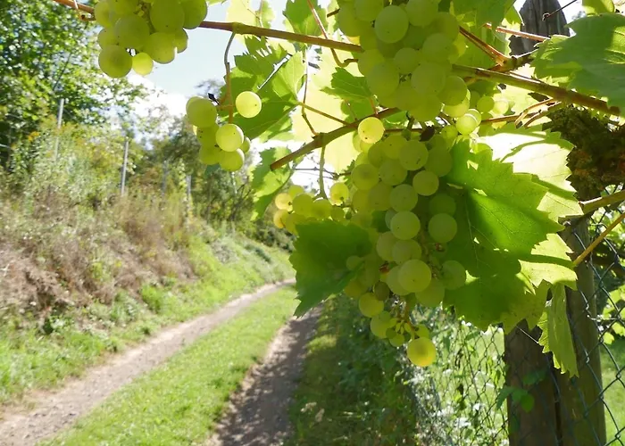 Margaretes Gaestehaus - Am Rheinsteig Rheinbrohl